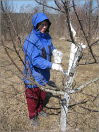 Gurdjieff Work and Movements, Russia 2009